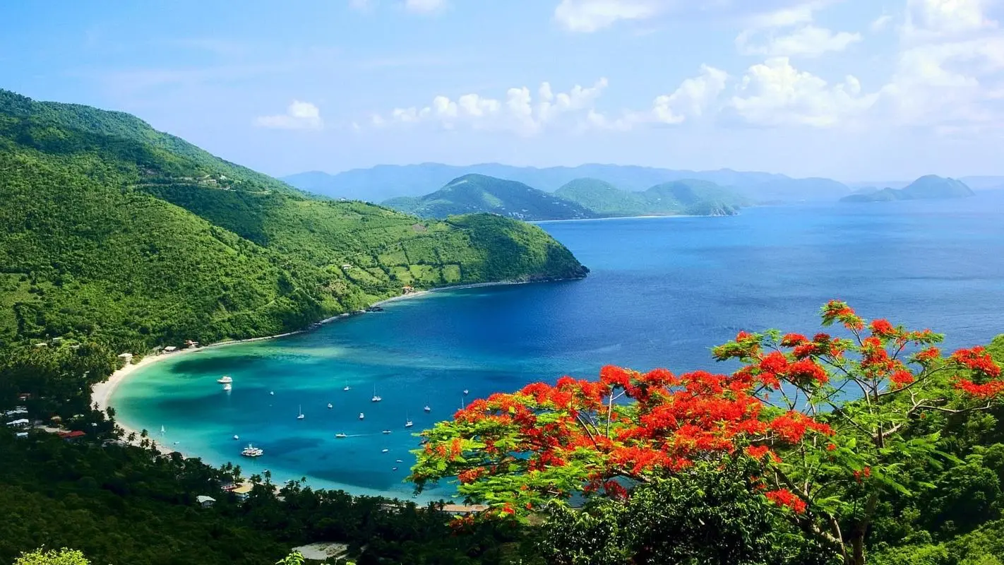 高质量智能高标准